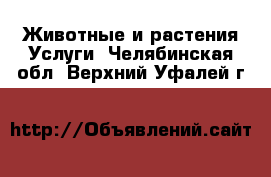 Животные и растения Услуги. Челябинская обл.,Верхний Уфалей г.